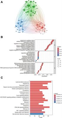 Targeting ferroptosis unveils a new era for traditional Chinese medicine: a scientific metrology study